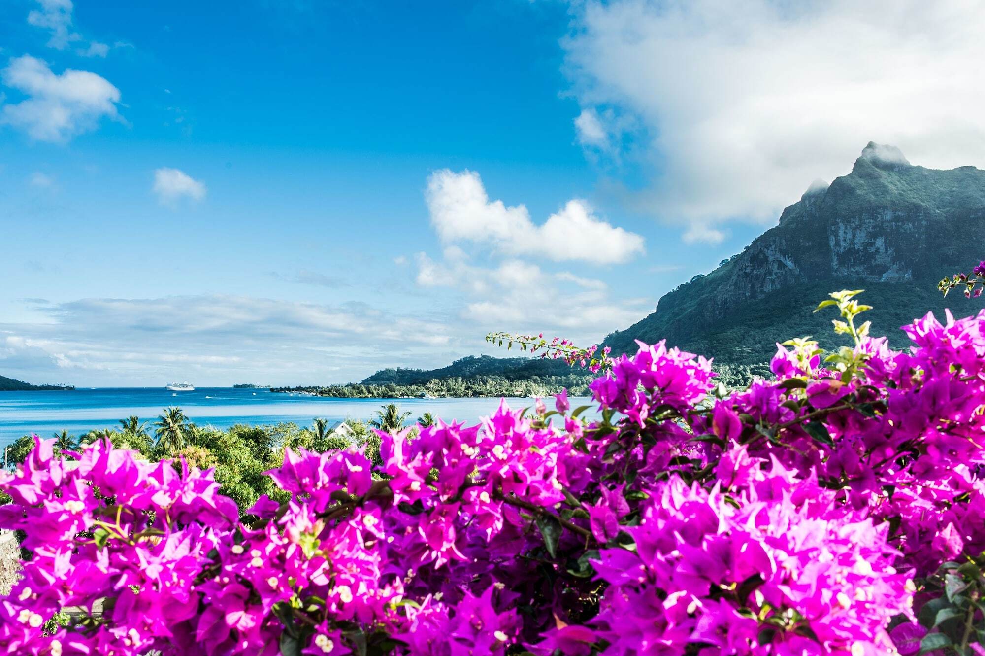 Villa Rea Hanaa Bora Bora Dış mekan fotoğraf
